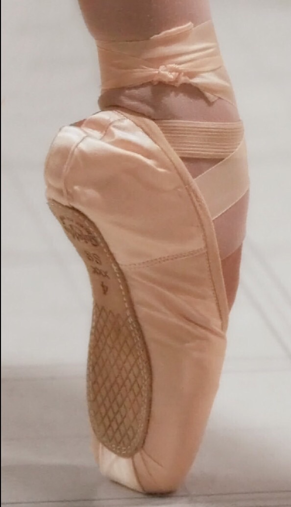 pointe shoes online