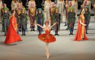firebird ballet book firebird ballet book