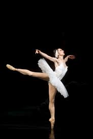 swan lake ballet video
