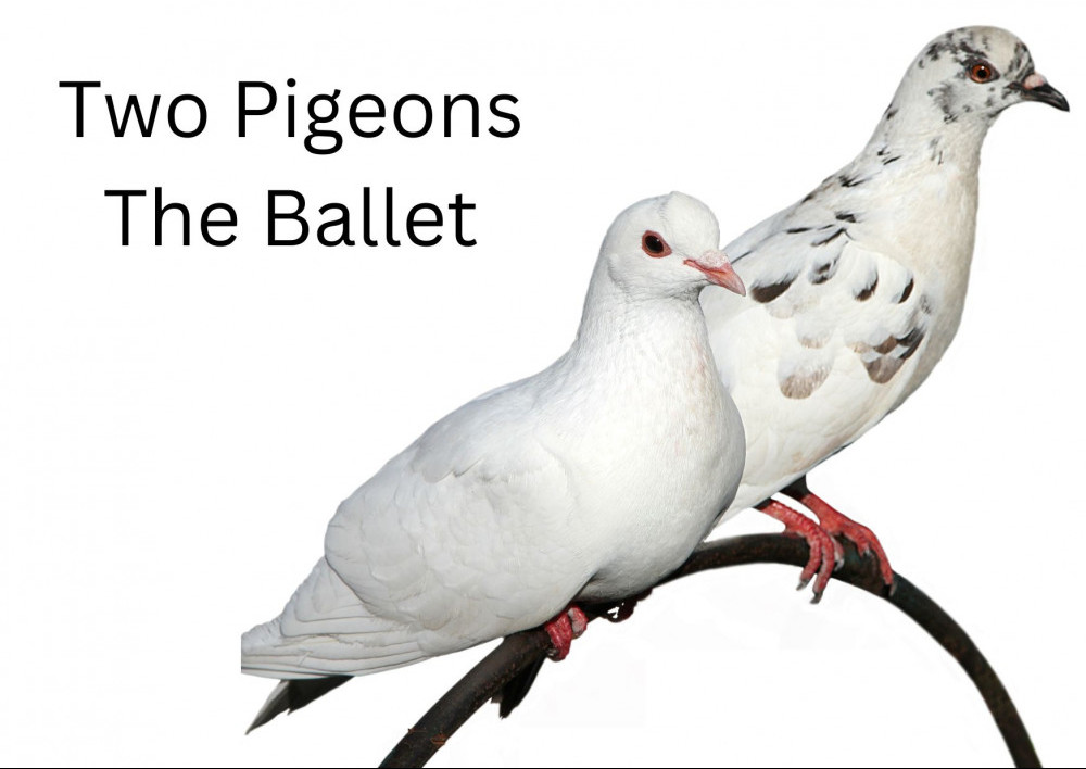 The Two Pigeons Ballet