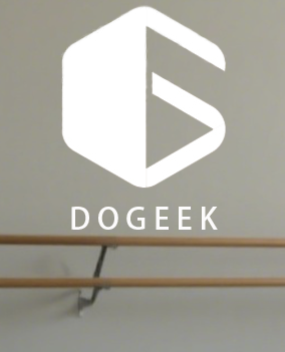dogged pointe shoes
